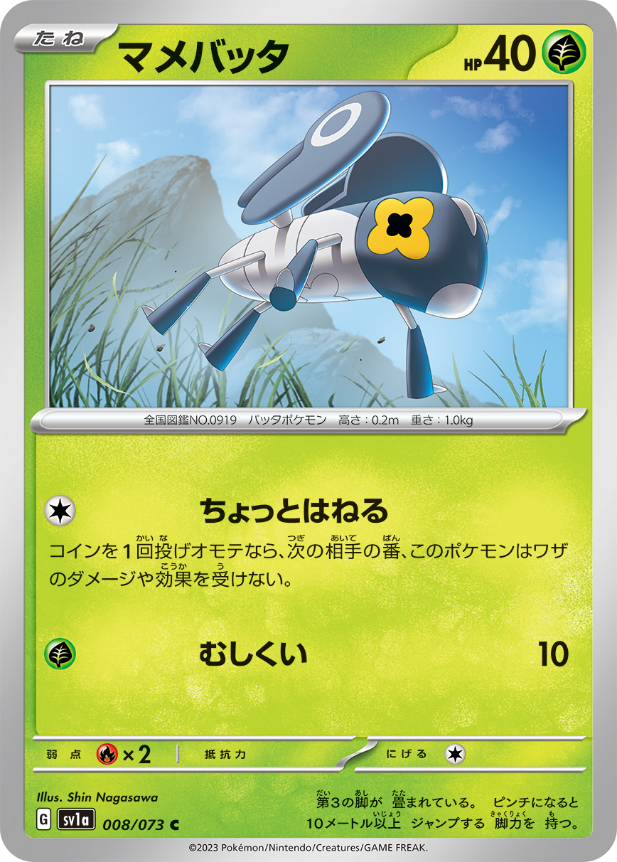 マメバッタ