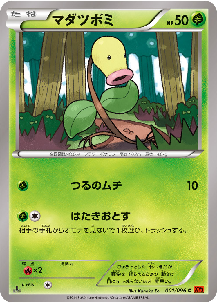 マダツボミ