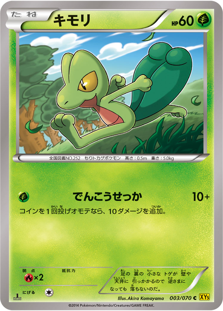 キモリ