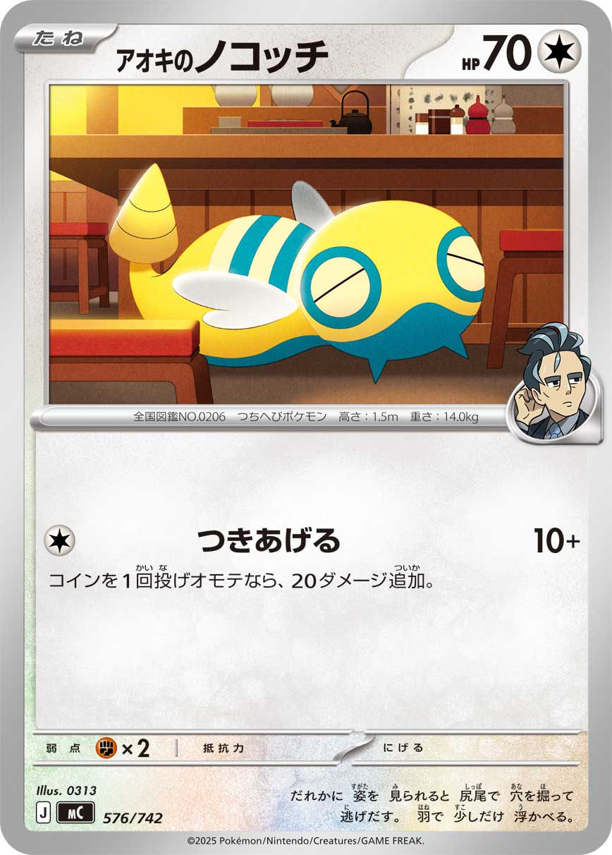 アオキのノコッチ
